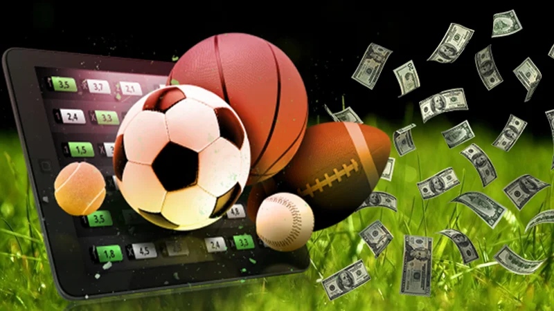 the thao vinbet 2 Có nhiều sảnh cược thể thao tại sân chơi Vinbet